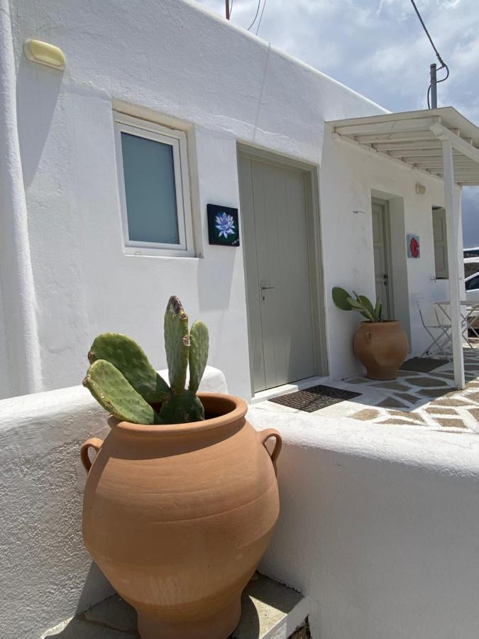 Sing&Blossom Accommodation Mykonos Town Exteriör bild